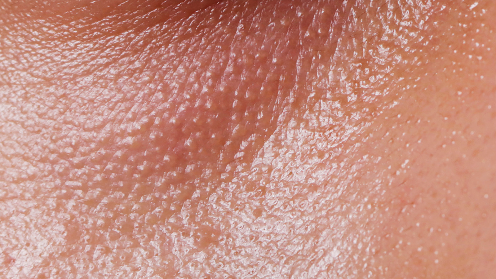 The Best Ingredients For Oily Skin